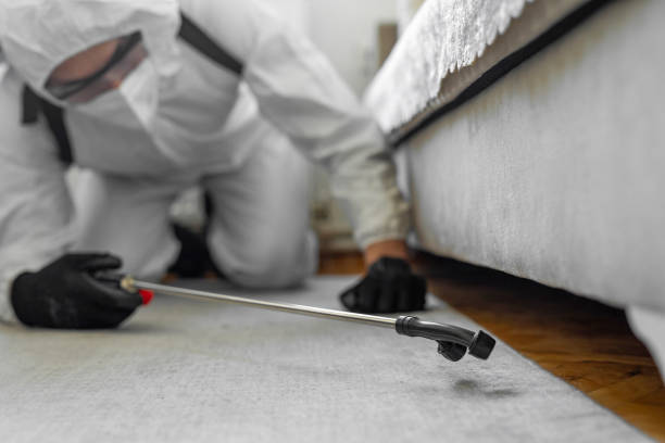 Professional Bed Bug Control technician working in Tri-Lakes, IN